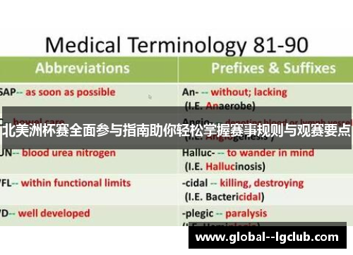 北美洲杯赛全面参与指南助你轻松掌握赛事规则与观赛要点