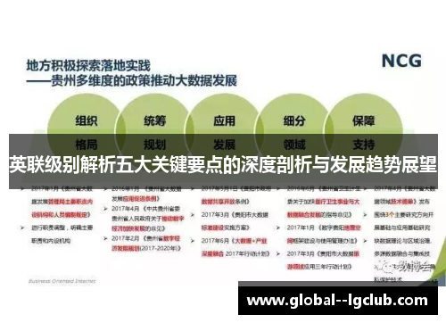 英联级别解析五大关键要点的深度剖析与发展趋势展望